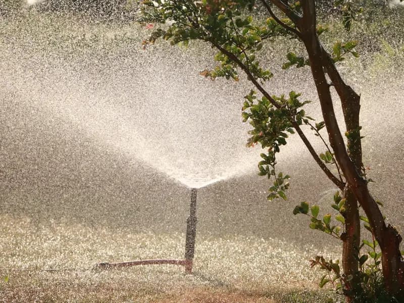 Irrigation & Sprinklers