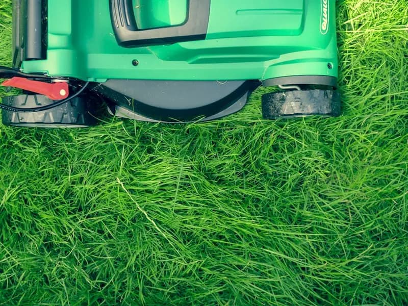Lawn Care & Mowing