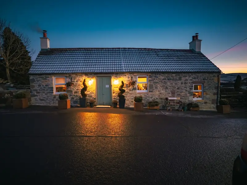 Landscape Lighting